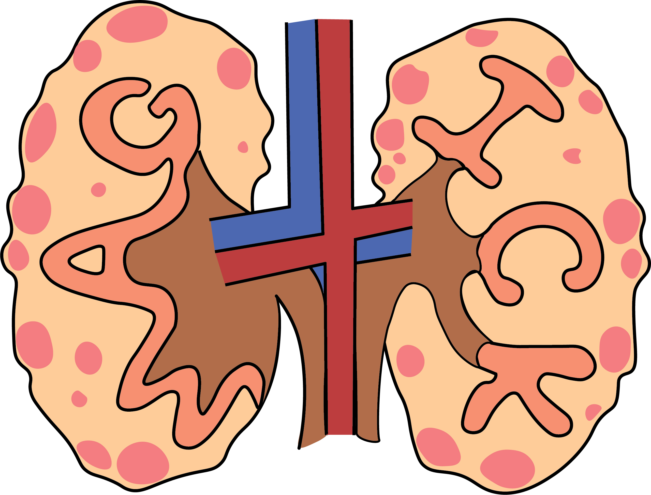 Kidneys Abstract Anatomy Print Medical Art Nephrology Poster – MimiPrints  Anatomy Prints And Science Art